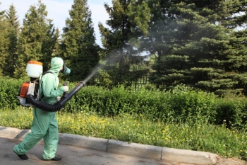 Уничтожение комаров в Жуковском