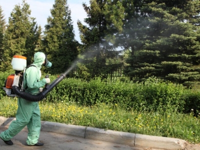 Уничтожение комаров в Жуковском